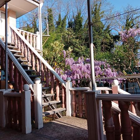 库塔伊西Tilda&Matilda住宿加早餐旅馆 外观 照片